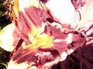 P1350274
