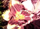 P1350275