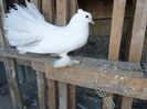 SAM_4320