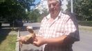 IMG-20170708-WA0005