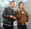 harry--z