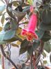 Mpther Lipstick
