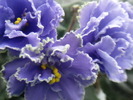Photo0804