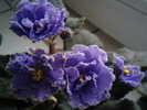 Photo0799