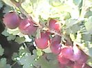 Agris Rovada.18.07.2017