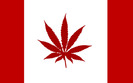 marijuana-canada