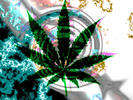 Marijuana_by_LSDinMYmind