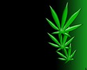 marijuana_wallpaper_by_luckystar_designs