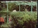 Nu Filmam Sa Ne-Amuzam