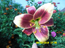 034 (2)