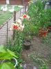 Photo0459