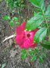 Photo0463