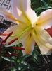 Photo0468