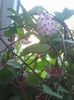 Photo0470