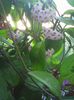 Photo0471