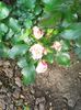 Photo0446