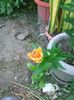 Photo0435