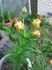 Photo0438