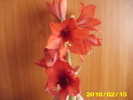 Picture 055