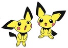 dublu pichu