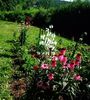 Nuovo_1_Photo5147