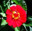 Nuovo_1_Photo5148
