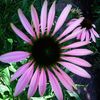 Nuovo_1_Photo5163
