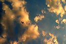 Nuovo_1_Photo5194