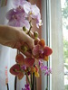 DSC03880