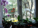 DSC03883