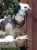 20170801_105801[2]