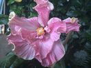 WIN_20170802_094348