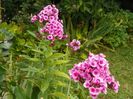02 aug 047