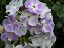 02 aug 059