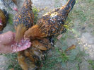Photo0076