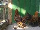 Photo0133