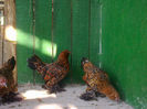 Photo0131