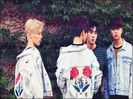 「 Day67 ♥ The Rose 」