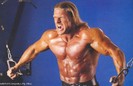 triple-h2-500x323