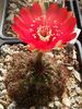 20170516_102351-1