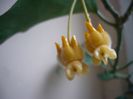 P1340420