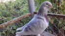 20170820_193945(0)