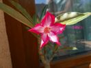 18 aug 054
