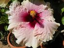 18 aug 057