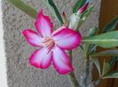 18 aug 069