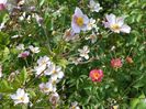 18 aug 086
