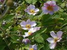 18 aug 090