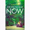 ❝The spectacular now (2013)❞