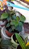 IMG-20170713-WA0016