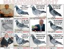 TOP 2017